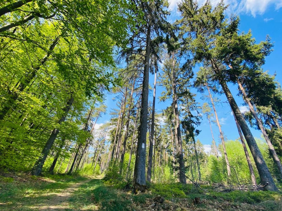 Pension Schmitt Waldfenster Eksteriør bilde